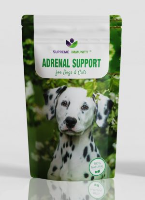 Adrenal Support
