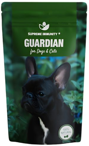 Guardian