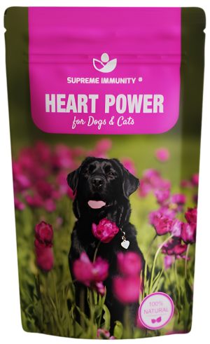 Heart Power