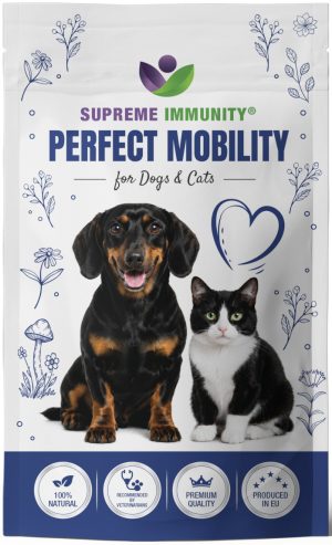 PERFECT MOBILITY COMPLEX