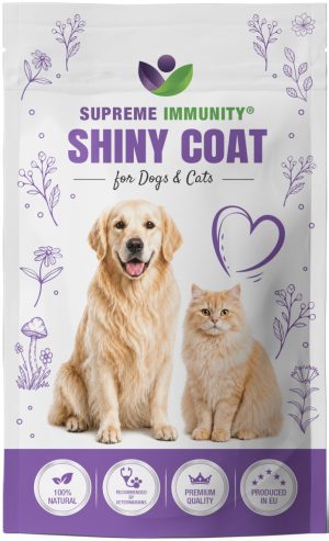 SHINY COAT